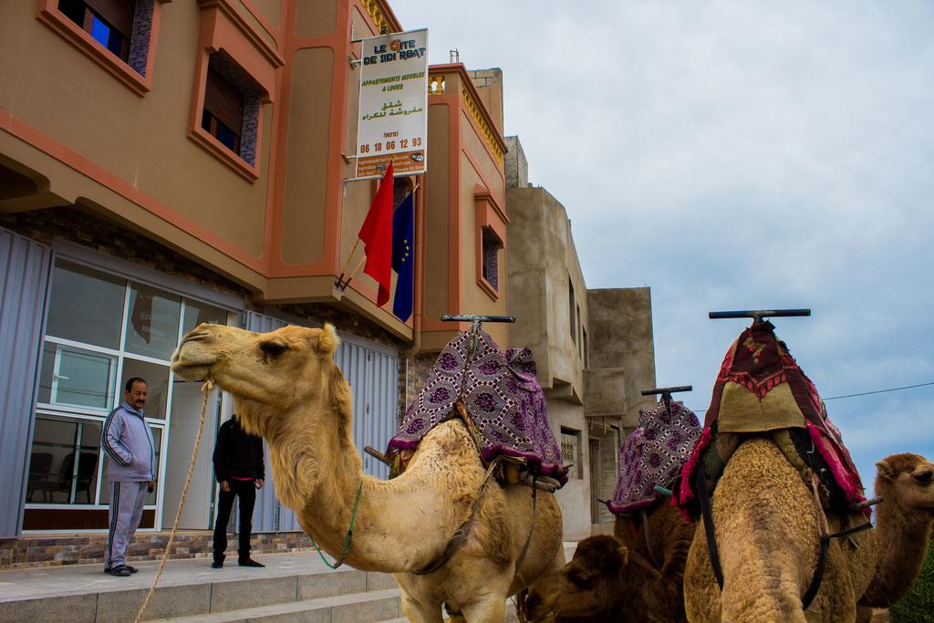 Le Gite De Sidi Rbat Visit Agadir Visit Agadir